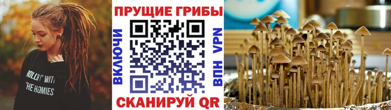 где найти наркотики  Рославль  Псилоцибиновые грибы ЛСД 