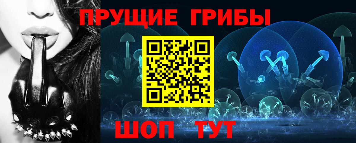 Рославль  Псилоцибиновые грибы MAGIC MUSHROOMS  Вход с VPN  Галлюциногенные грибы мухоморы 